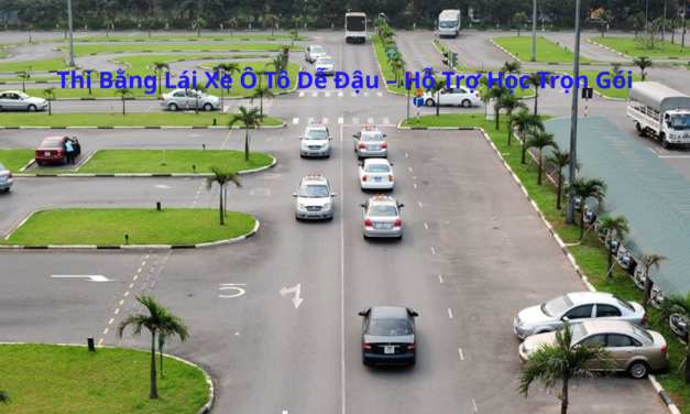 Thi Bằng Lái Xe Ô Tô 2026 Dễ Đậu – Hỗ Trợ Học Trọn Gói