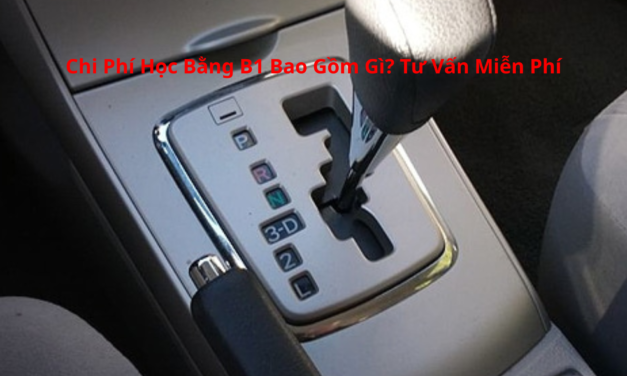 Chi Phí Học Bằng B1 2026 Bao Gồm Gì? Tư Vấn Miễn Phí