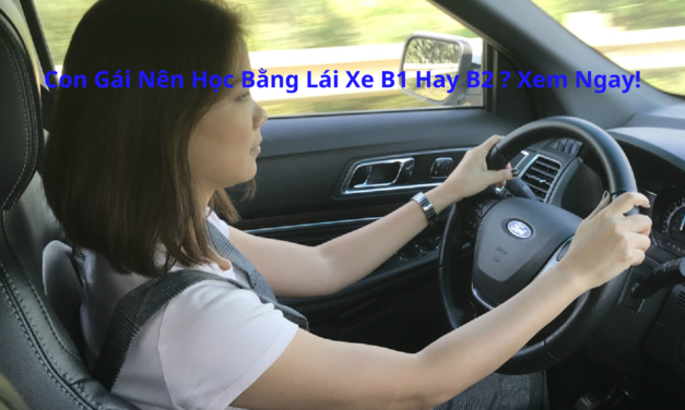 Con Gái Nên Học Bằng Lái Xe B1 Hay B2 2026? Xem Ngay!