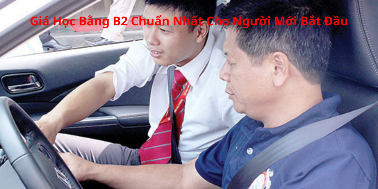 Giá Học Bằng B2 2026 Chuẩn Nhất Cho Người Mới Bắt Đầu