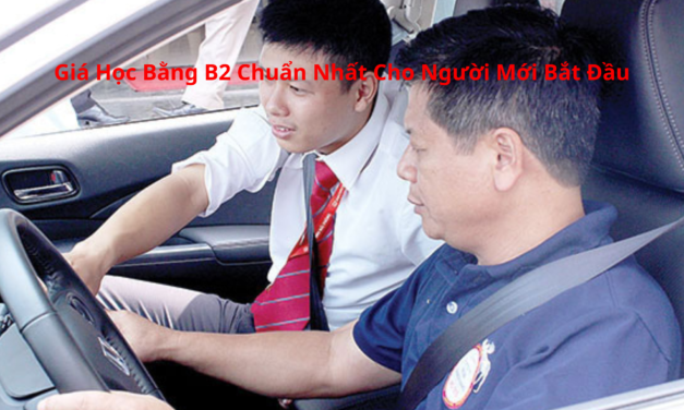 Giá Học Bằng B2 2026 Chuẩn Nhất Cho Người Mới Bắt Đầu