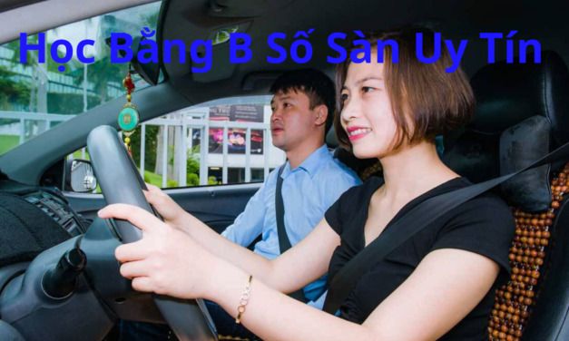 TOP 10+ Học Bằng B Số Sàn 2026 Tỷ Lệ Đậu Cao