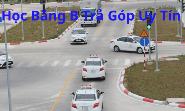TOP 10+ Học Bằng B Trả Góp 2026 Không Áp Lực Chi Phí