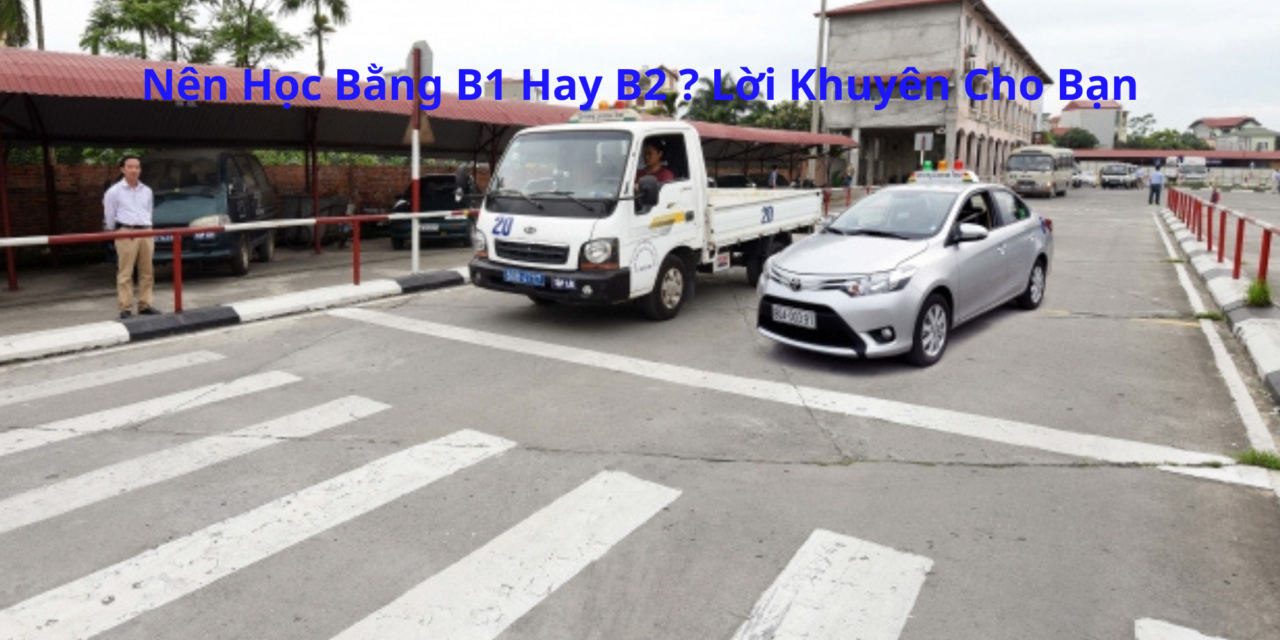 Nên Học Bằng B1 Hay B2 2026? Lời Khuyên Cho Bạn