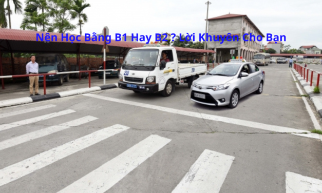 Nên Học Bằng B1 Hay B2 2026? Lời Khuyên Cho Bạn