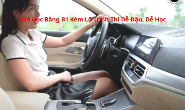 Giá Học Bằng B1 2026 Kèm Lộ Trình Thi Dễ Đậu, Dễ Học