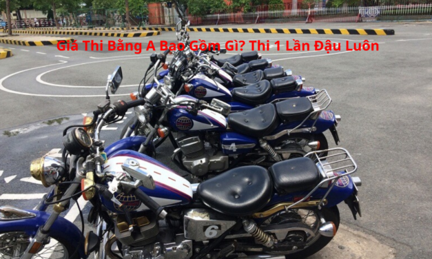 Giá Thi Bằng A 2026 Bao Gồm Gì? Thi 1 Lần Đậu Luôn