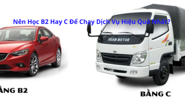 Nên Học B2 Hay C 2026 Để Chạy Dịch Vụ Hiệu Quả Nhất?