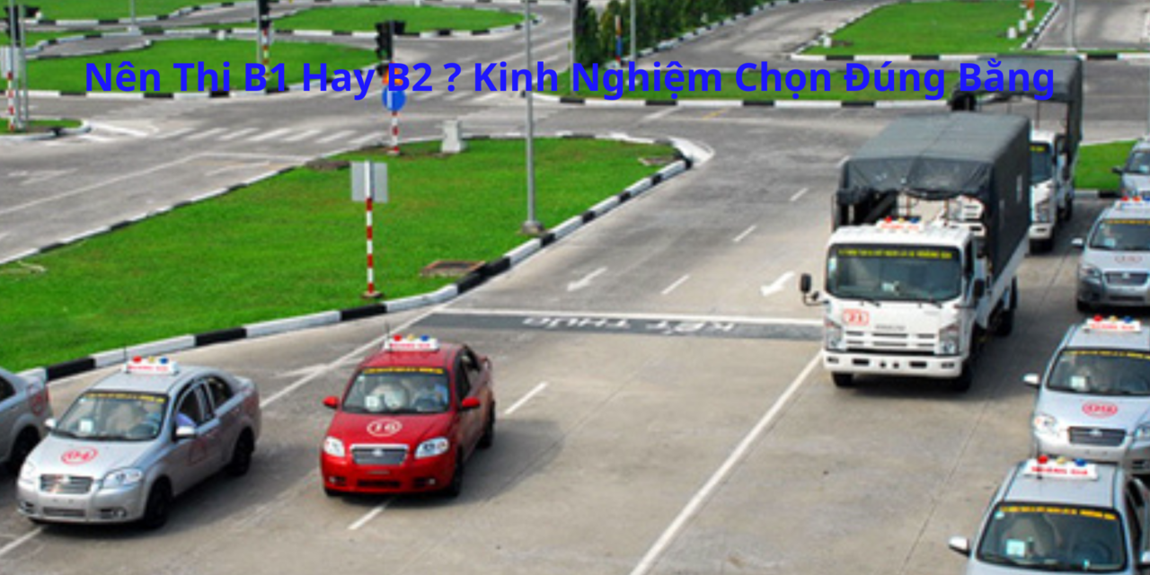 Nên Thi B1 Hay B2 2026? Kinh Nghiệm Chọn Đúng Bằng