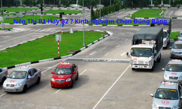 Nên Thi B1 Hay B2 2026? Kinh Nghiệm Chọn Đúng Bằng
